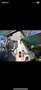 Ford Transit Bus Westfalia Nugget Wit - thumbnail 14