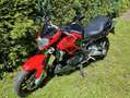 Aprilia Shiver 750 Shiver 750 ABS Rot - thumbnail 5