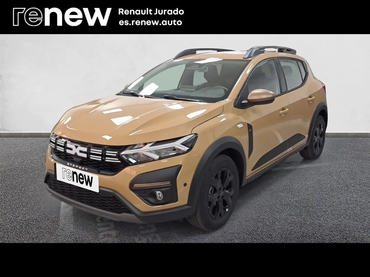Dacia Sandero Stepway ECO-G Extreme Go 74kW - 1