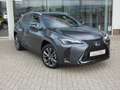 Lexus UX 250h HYBRID F-Sport Design +Leder GPS Carplay Dodehoek Gris - thumbnail 1