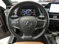 Lexus UX 250h HYBRID F-Sport Design +Leder GPS Carplay Dodehoek Gris - thumbnail 7