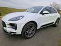 Porsche Macan Basis Weiß - thumbnail 8