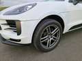 Porsche Macan Basis Weiß - thumbnail 6