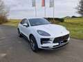 Porsche Macan Basis Weiß - thumbnail 3