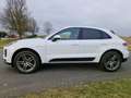 Porsche Macan Basis Weiß - thumbnail 7