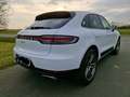 Porsche Macan Basis Weiß - thumbnail 19