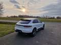 Porsche Macan Basis Weiß - thumbnail 20
