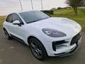 Porsche Macan Basis Weiß - thumbnail 1