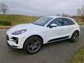 Porsche Macan Basis Weiß - thumbnail 9