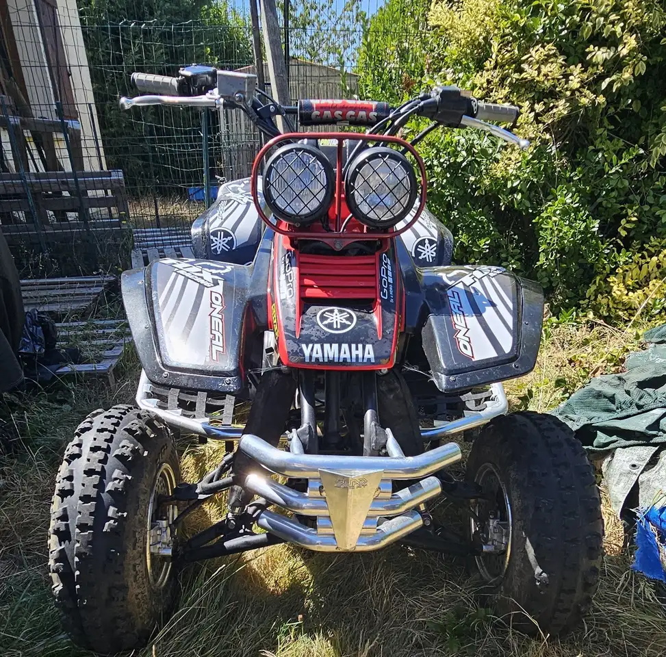 Yamaha YFM 350