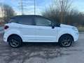 Ford EcoSport 1.0 ST-LINE EcoBoost Titanium Navi Camera Jante Blanco - thumbnail 17