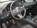 Mazda CX-30 G122 Comfort+ - thumbnail 12