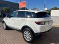 Land Rover Range Rover Evoque Range Rover Evoque 5p 2.0 td4 HSE autocarro N1 Bianco - thumbnail 6