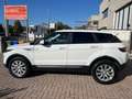 Land Rover Range Rover Evoque Range Rover Evoque 5p 2.0 td4 HSE autocarro N1 Bianco - thumbnail 3