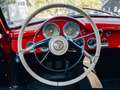 Alfa Romeo 1900 Super Sprint Rouge - thumbnail 14