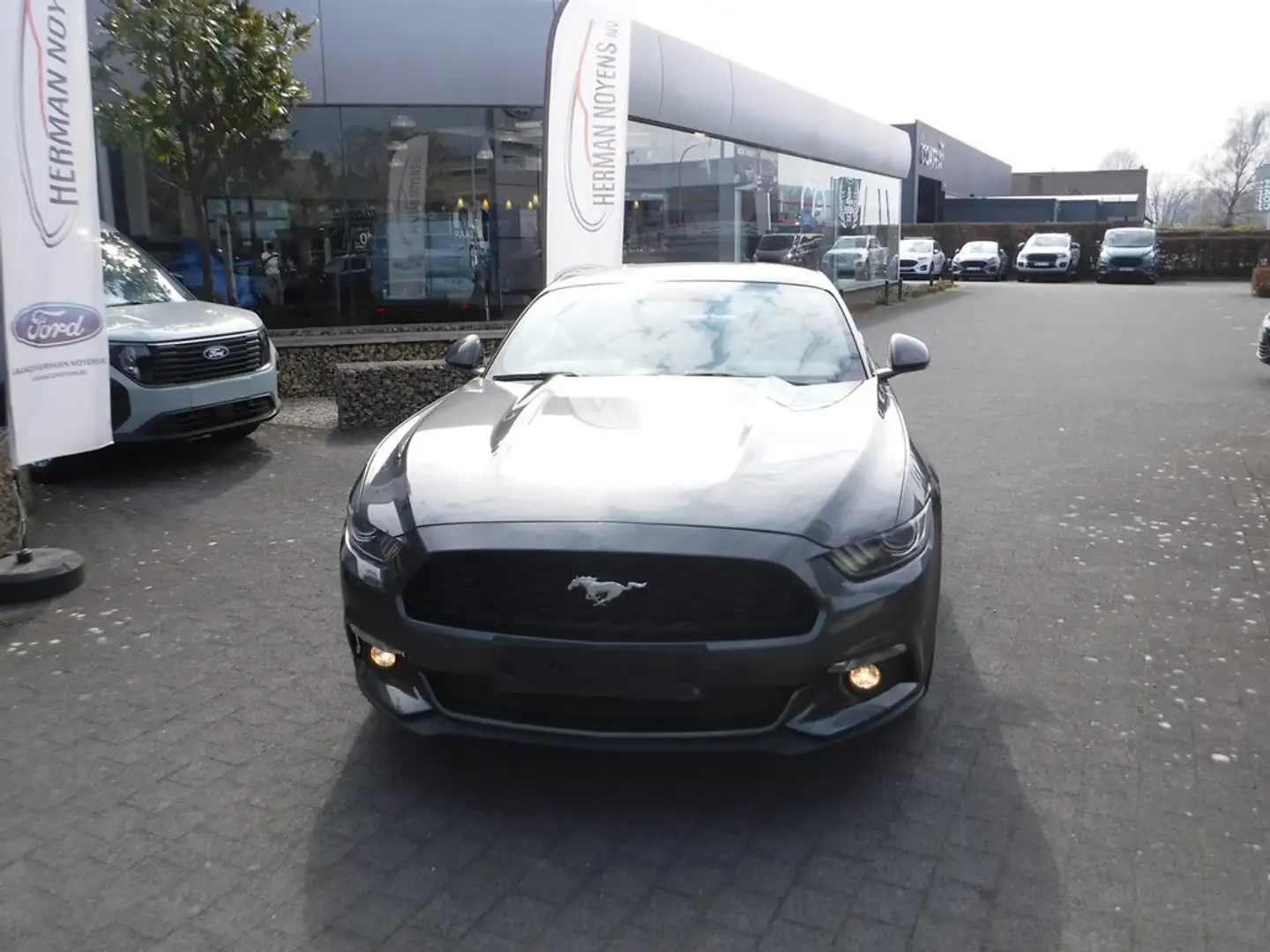 Ford Mustang Coupé 2.3 Ecoboost Gris - 2