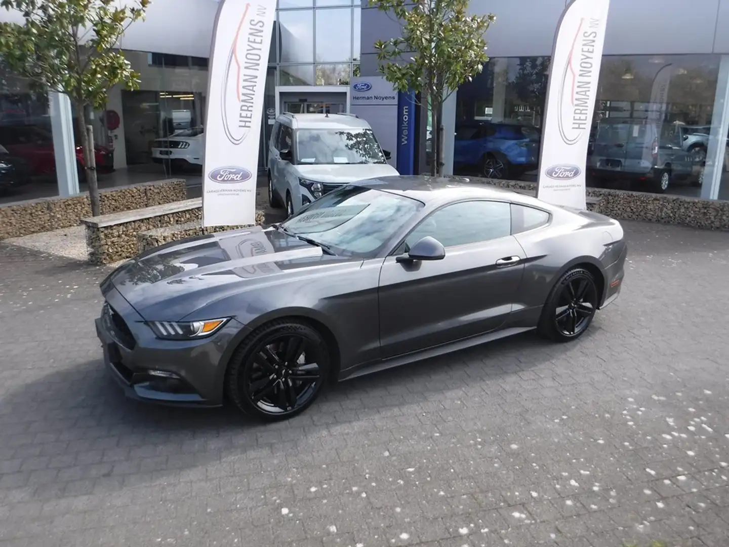 Ford Mustang Coupé 2.3 Ecoboost Gris - 1