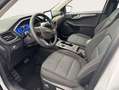 Ford Kuga 2.5 Duratec PHEV COOL&CONNECT Wit - thumbnail 8