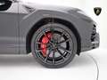Lamborghini Urus MY22 I PANO I 23" Noir - thumbnail 9