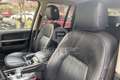 Land Rover Range Rover Range Rover 3.6 TDV8 HSE Silber - thumbnail 13