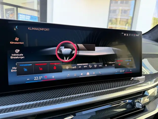 BMW X5 view 11