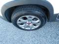 Fiat Panda Panda Cross 0.9 TwinAir Turbo S&S 4x4 85cv Weiß - thumbnail 11