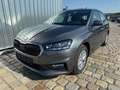 Skoda Fabia EXTRA PLUS 1.0 TSI 115 PS -5 Jahre Garantie-Sma... Grau - thumbnail 1
