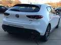Mazda 3 e-Skyactiv-G M Hybrid Homura Bianco - thumbnail 5