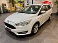 Ford Focus 2.0 TDCi 150 CV Start&Stop SW Titanium X Weiß - thumbnail 1