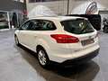 Ford Focus 2.0 TDCi 150 CV Start&Stop SW Titanium X Weiß - thumbnail 7