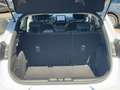 Ford Puma 1.0 ECOBOOST TITANIUM HYBRID NAVI CARPLAY LMV AIRC Blanco - thumbnail 14