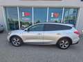 Ford Focus 1.0 EcoBoost Hybrid 125 CV SW Active Grigio - thumbnail 7