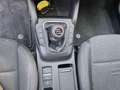 Ford Focus 1.0 EcoBoost Hybrid 125 CV SW Active Grigio - thumbnail 14