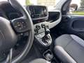 Fiat Panda Panda 1.0 FireFly S&S Hybrid City Life Gris - thumbnail 6
