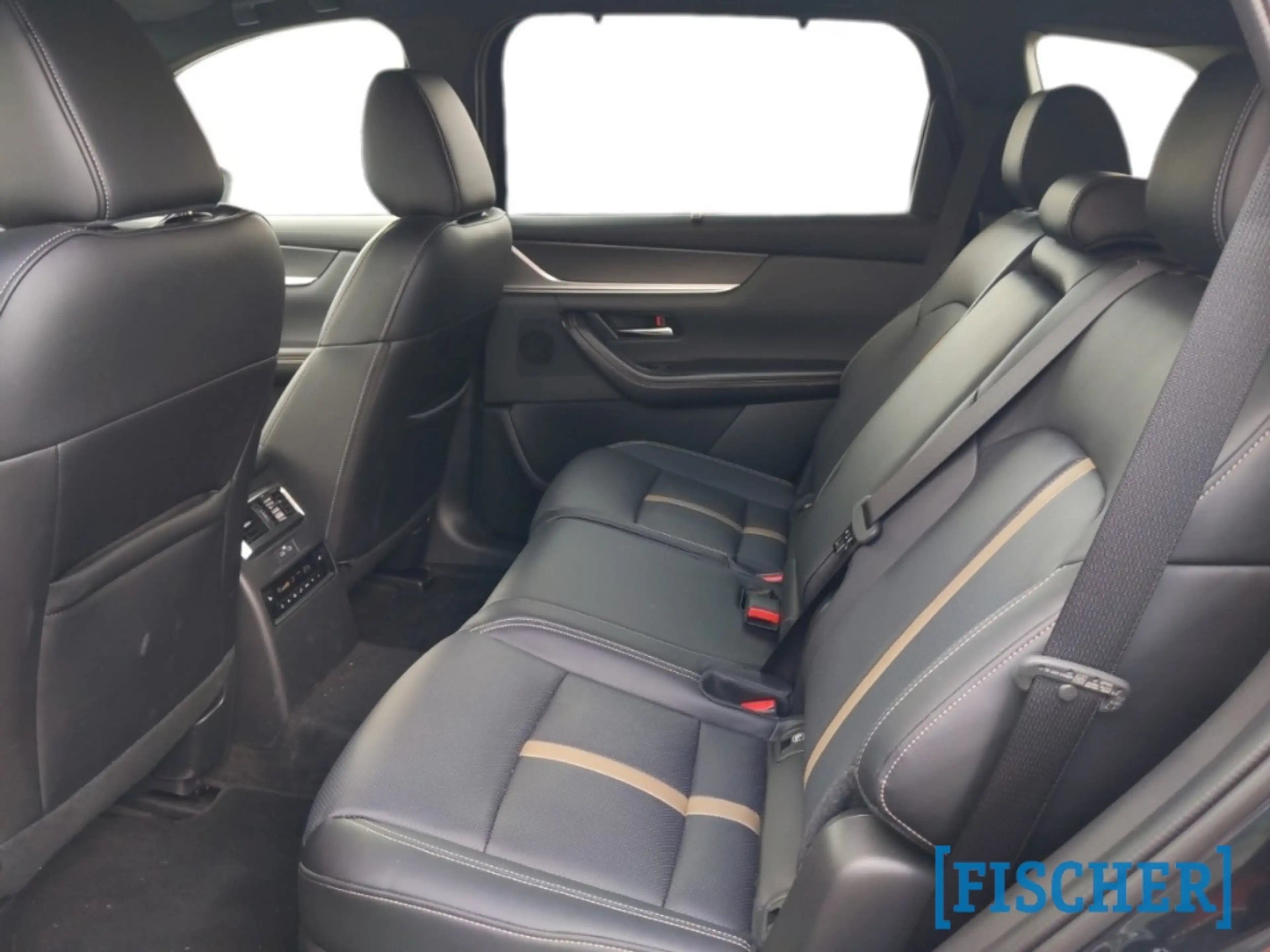 Mazda CX-80 AWD 3.3L e-SKYACTIV D 254ps Homura — photo 10