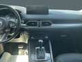 Mazda CX-5 AdVantage AWD 2.2 HUD Navi 360 Kamera Apple CarPla Rot - thumbnail 15