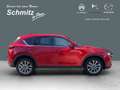 Mazda CX-5 AdVantage AWD 2.2 HUD Navi 360 Kamera Apple CarPla Rot - thumbnail 6