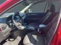 Mazda CX-5 AdVantage AWD 2.2 HUD Navi 360 Kamera Apple CarPla Rot - thumbnail 9