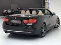 BMW 428 4-serie Cabrio 428i 245pk, Luxury, Hardtop, NL-aut Zwart - thumbnail 25