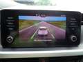 Skoda Kamiq Ambition 1.0 DSG 110PS PDC RFK SML BT LED TEMPOM. Weiß - thumbnail 22