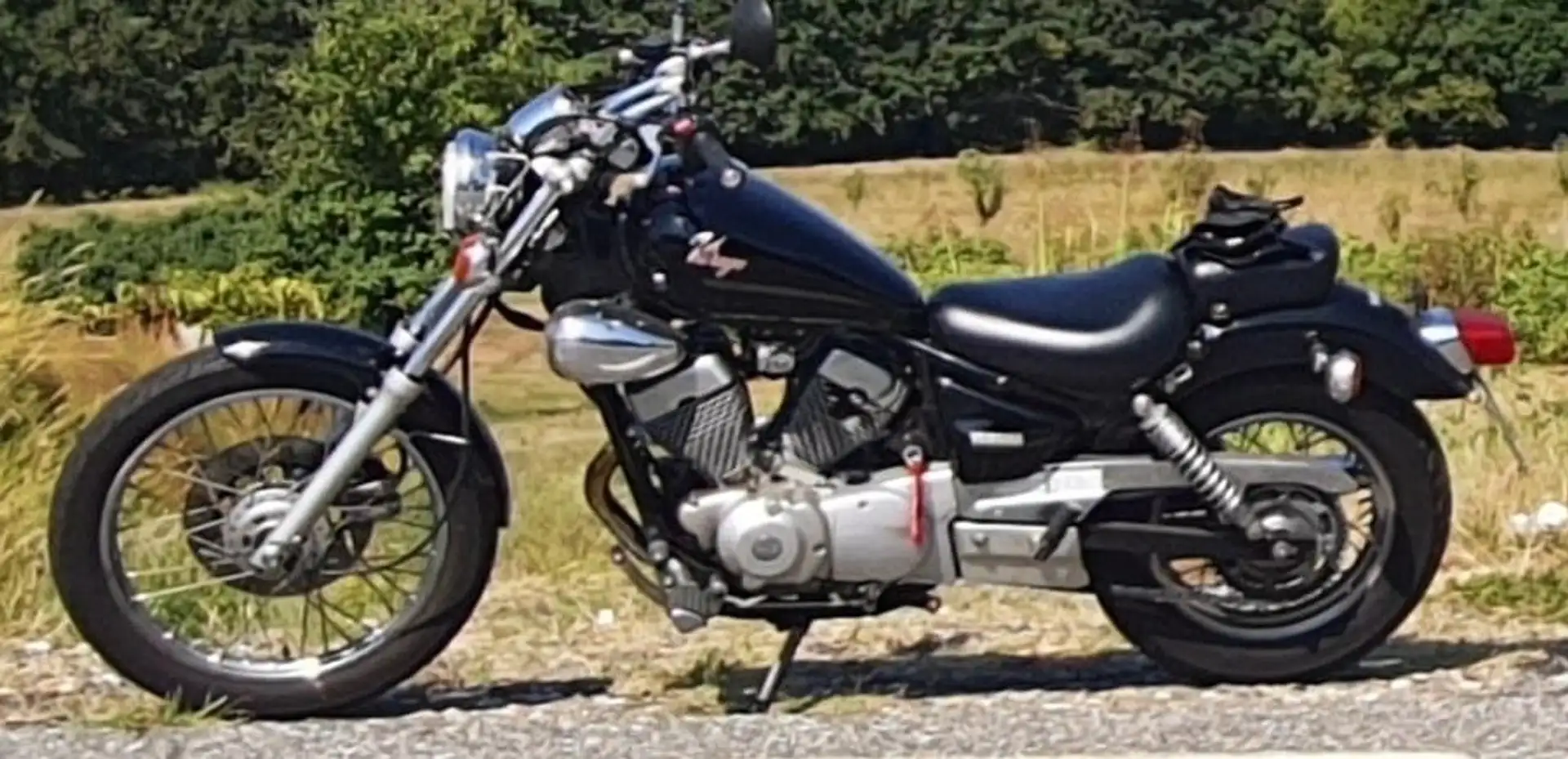 Yamaha XV 250 Virago 250 cc Zwart - 1