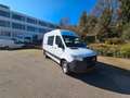 Mercedes-Benz Sprinter 314 Mixto.L2H2.Klima.Standheiz. Weiß - thumbnail 11