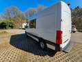 Mercedes-Benz Sprinter 314 Mixto.L2H2.Klima.Standheiz. Weiß - thumbnail 4