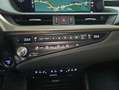 Lexus ES 300 300h Luxury D-View Rojo - thumbnail 18