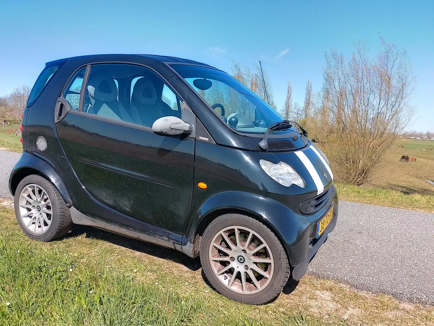smart forTwo 0.7 pure 37 Černá - 2