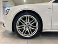 Audi A5 2.0 TDI Quattro S-Tronic /S-Line Edit. 73.600 KM!! Bianco - thumbnail 4