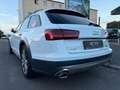 Audi A6 Allroad quattro 3.0 TDI | PANO | Softclose Weiß - thumbnail 3