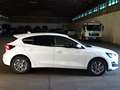 Ford Focus Titanium Style MHEV WiPa Kamera DAB+ Weiß - thumbnail 6