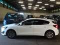 Ford Focus Titanium Style MHEV WiPa Kamera DAB+ Weiß - thumbnail 3