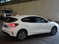 Ford Focus Titanium Style MHEV WiPa Kamera DAB+ Weiß - thumbnail 5